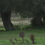 Nyaraló Letniskowe Ranczo *