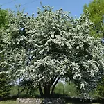 Letniskowe Ranczo 达尔沃沃