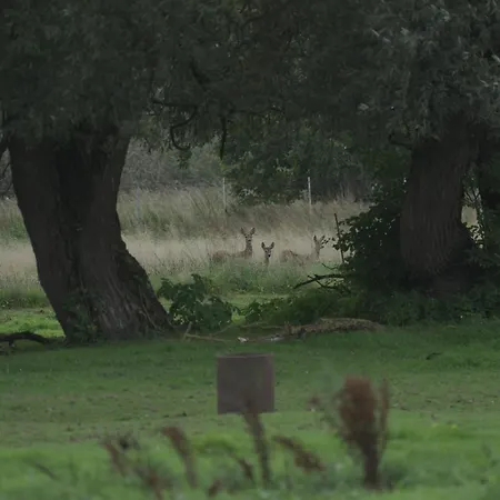 Nyaraló Letniskowe Ranczo *