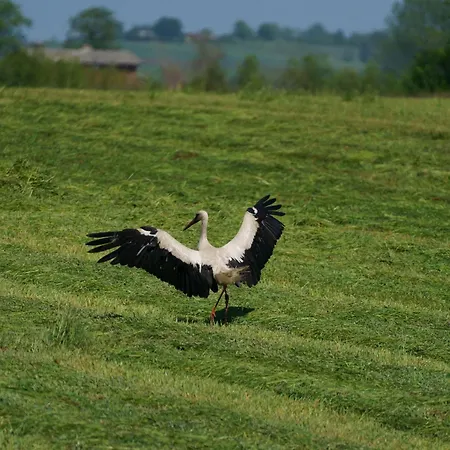 Letniskowe Ranczo Darłowo