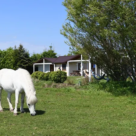 Semesterbostad Letniskowe Ranczo *