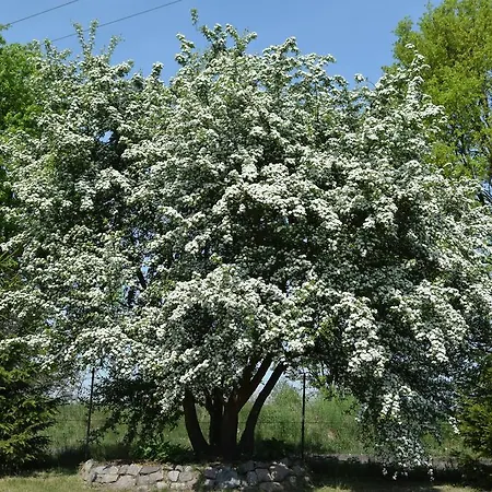 Letniskowe Ranczo Darłowo