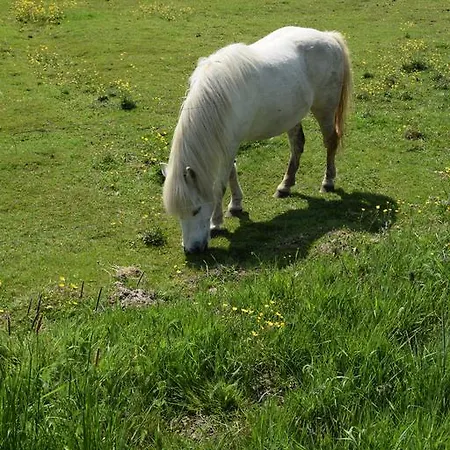 Domki Letniskowe Ranczo