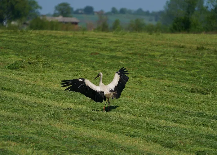 Letniskowe Ranczo Darłowo