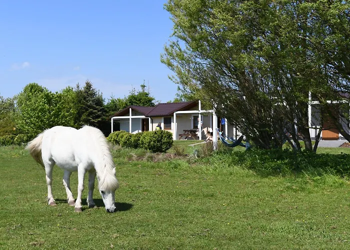 Semesterbostad Letniskowe Ranczo *