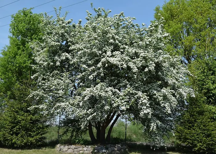Letniskowe Ranczo Darłowo