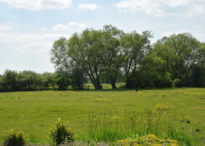 Semesterbostad Letniskowe Ranczo *
